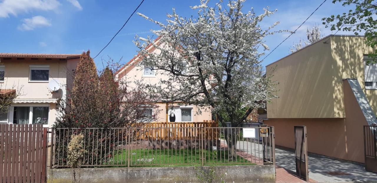 Rozsa Apartment Hajdúszoboszló Esterno foto